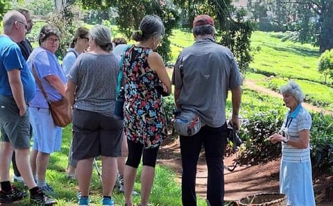 Kiambethu Tea Farm Tour with Lunch from Nairobi
