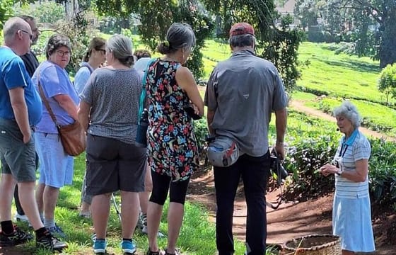 Kiambethu Tea Farm Tour and Lunch From Nairobi