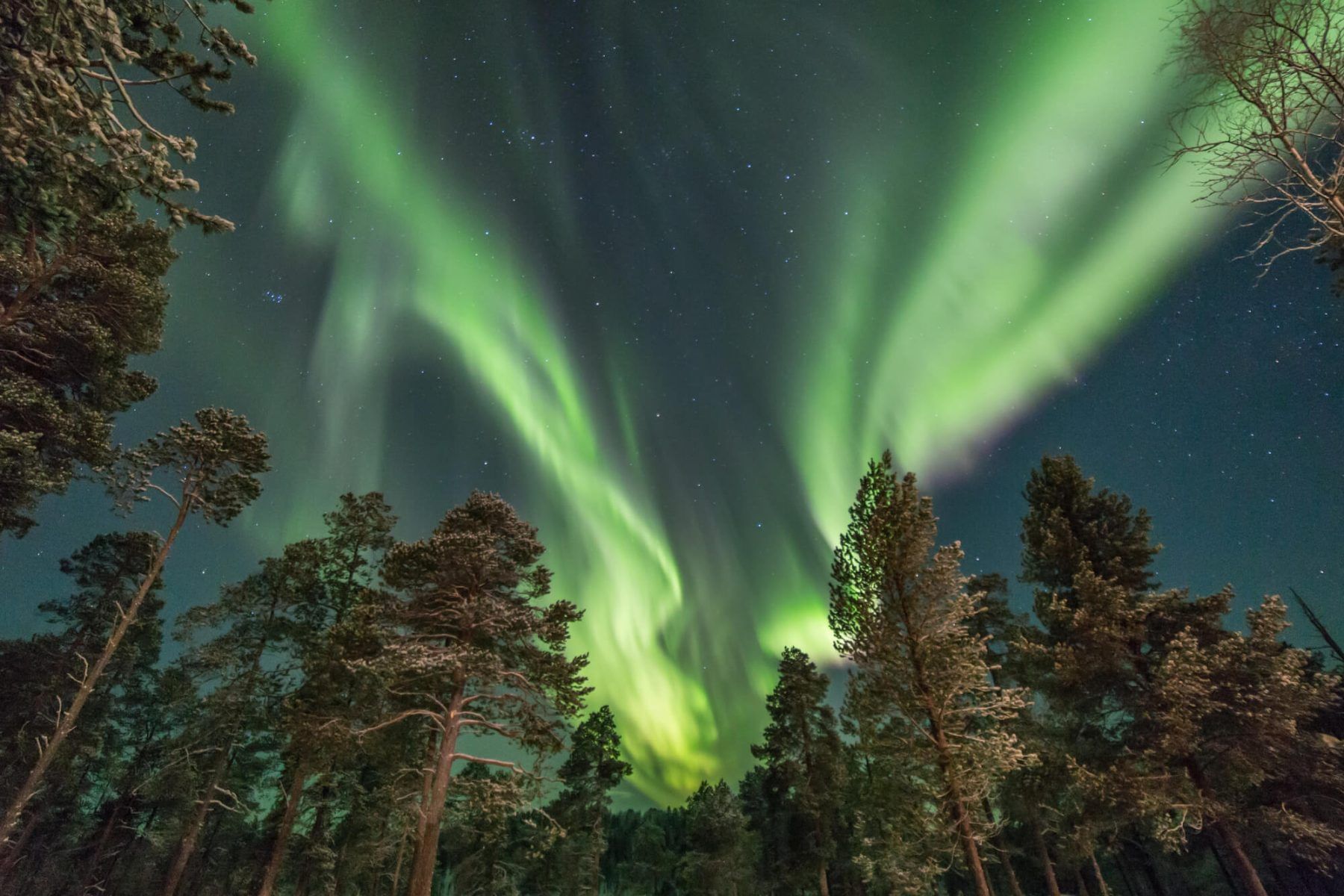 Under the Arctic Stars: A Rovaniemi Night Hike