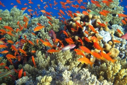 Adventurous Week in Hurghada with Culture and Relaxation