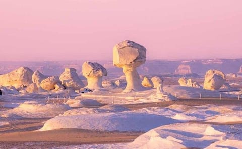 2-Day Desert Adventure and Cultural Tour from Cairo