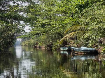 Muthurajawela Sanctuary Boat Tour and Bird Watching from Colombo