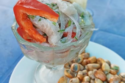 Tum-01 : Mangrove Marvels – Puerto Pizarro and Islands Tour