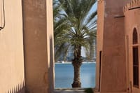 Abu Dhabi Tour Grand Mosque Heritage Qasr Al Watan  9