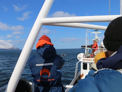Classic Whale Watching from Dalvík, photo 6