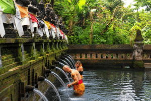 Private Bali's Most Instagrammable Swing and Sacred Holy Bath
