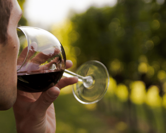 Wine Discovery Tour: Exploring the Teramane Hills with Bossanova Winery - Photo 3