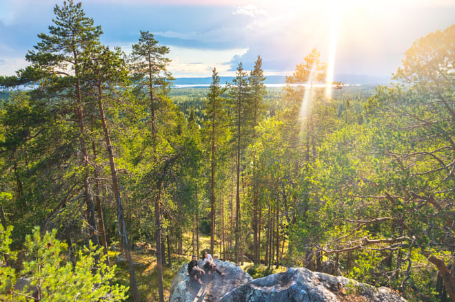 VÄKI - Forest Bath