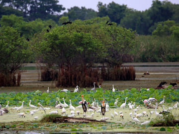 Three-Day Safari Adventure in Tissamaharama, Sri Lanka