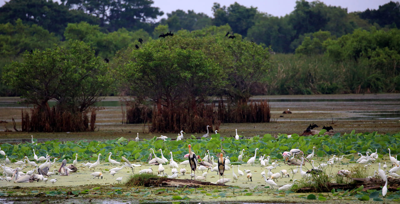 3 Days National Park Safari Trail  8