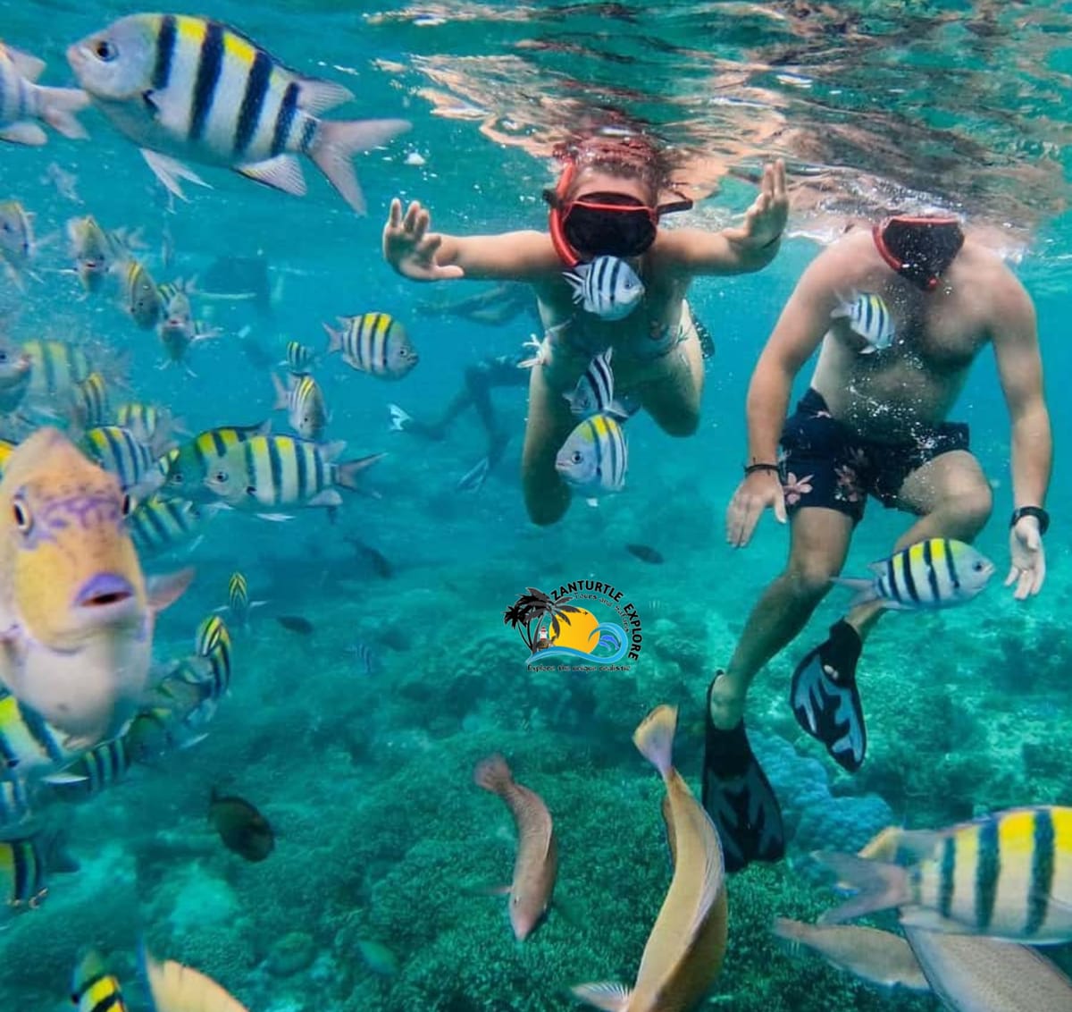 Zanzibar Maasai Culture, Jozani Forest and Salaam Cave Turtle