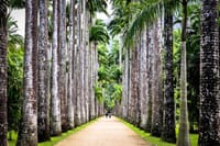 Botanical Garden