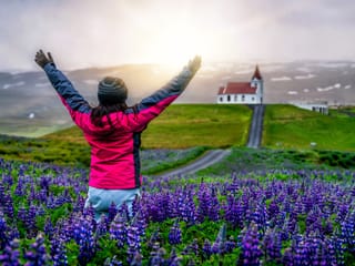 Private Snæfellsnes Peninsula Tour with Multilingual Guide (PL / EN / ES / ZH), photo 18