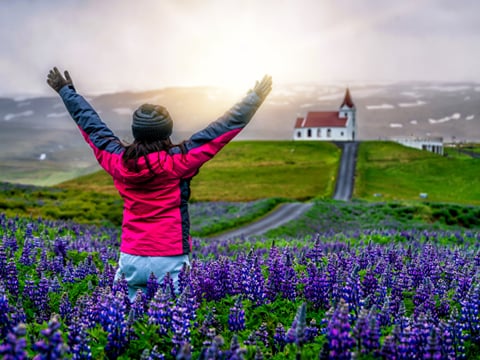 Private Snæfellsnes Peninsula Tour with Multilingual Guide (PL / EN / ES / ZH), photo 18