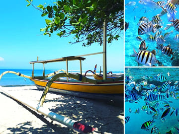 Blue Lagoon Snorkeling – Gate of Heaven – And More – All Included + FREE Wi-Fi