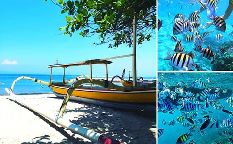 Blue Lagoon Snorkeling – Gate of Heaven – And More – All Included + FREE Wi-Fi
