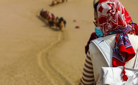 Desert Safari Adventure with Camel Riding and BBQ in Dubai