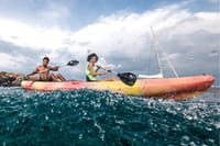 Paddle, sail, and splash into the magic of a Costa Rican sunset on your exclusive private catamaran tour—pure Pura Vida adventure!