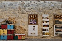 Falassarna Beach Olive and Honey Tasting Private Tour 5