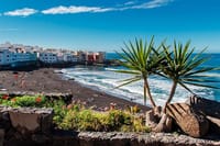 Puerto de la Cruz City Tour with Transfers 4