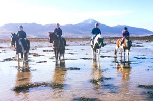 Beach & countryside horse riding outside Westport. Mayo. 1 hour. Guided. 