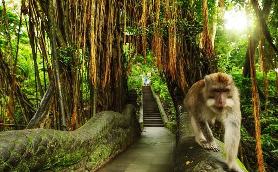 Guided Tour and Skip-the-Line Ticket to Ubud Monkey Forest