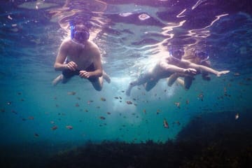 Family Snorkeling Tour with Private Guide In Sydney