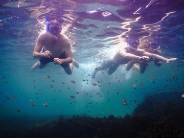 Dad and sons snorkeling