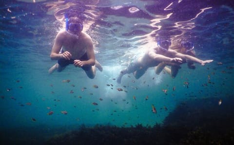 Family Snorkeling Adventure at Bronte-Coogee in Sydney