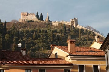 Private Walking Tour of Vicenza's Architectural Heritage
