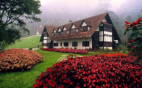 Private Day Tour of Cameron Highlands from Kuala Lumpur