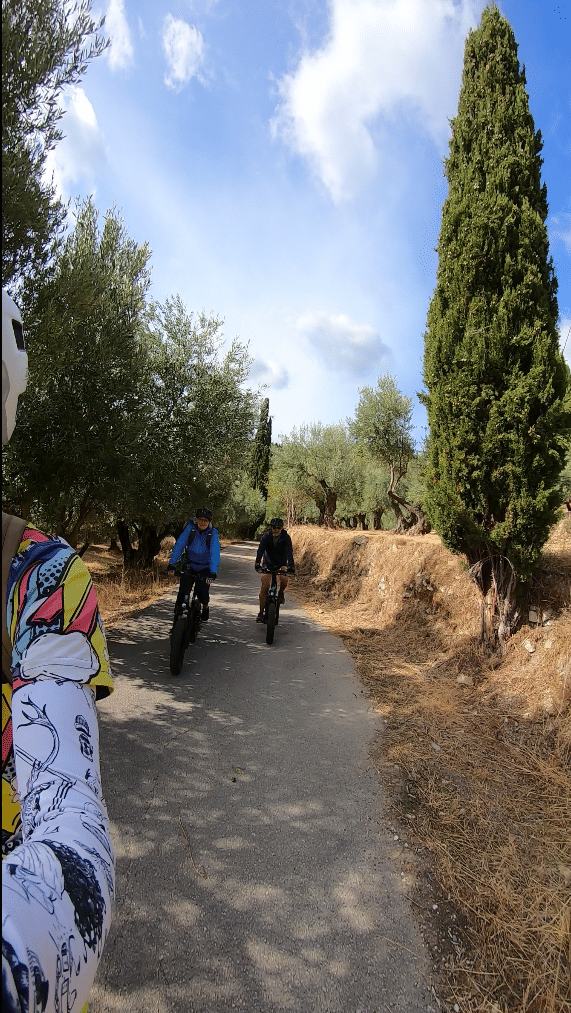 E-bike Guided Tour Lefkada - Wonder Through Lefkada's Olive Groves