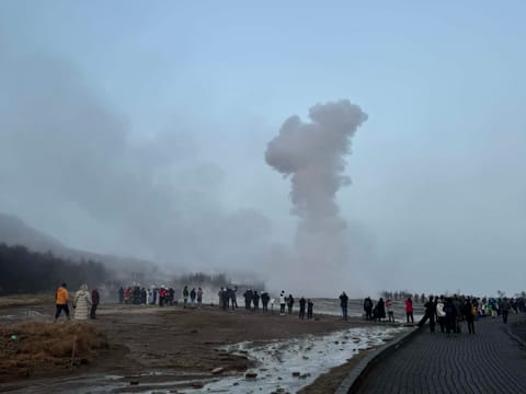 Grand Golden Circle Small Group Tour from Reykjavik, photo 3