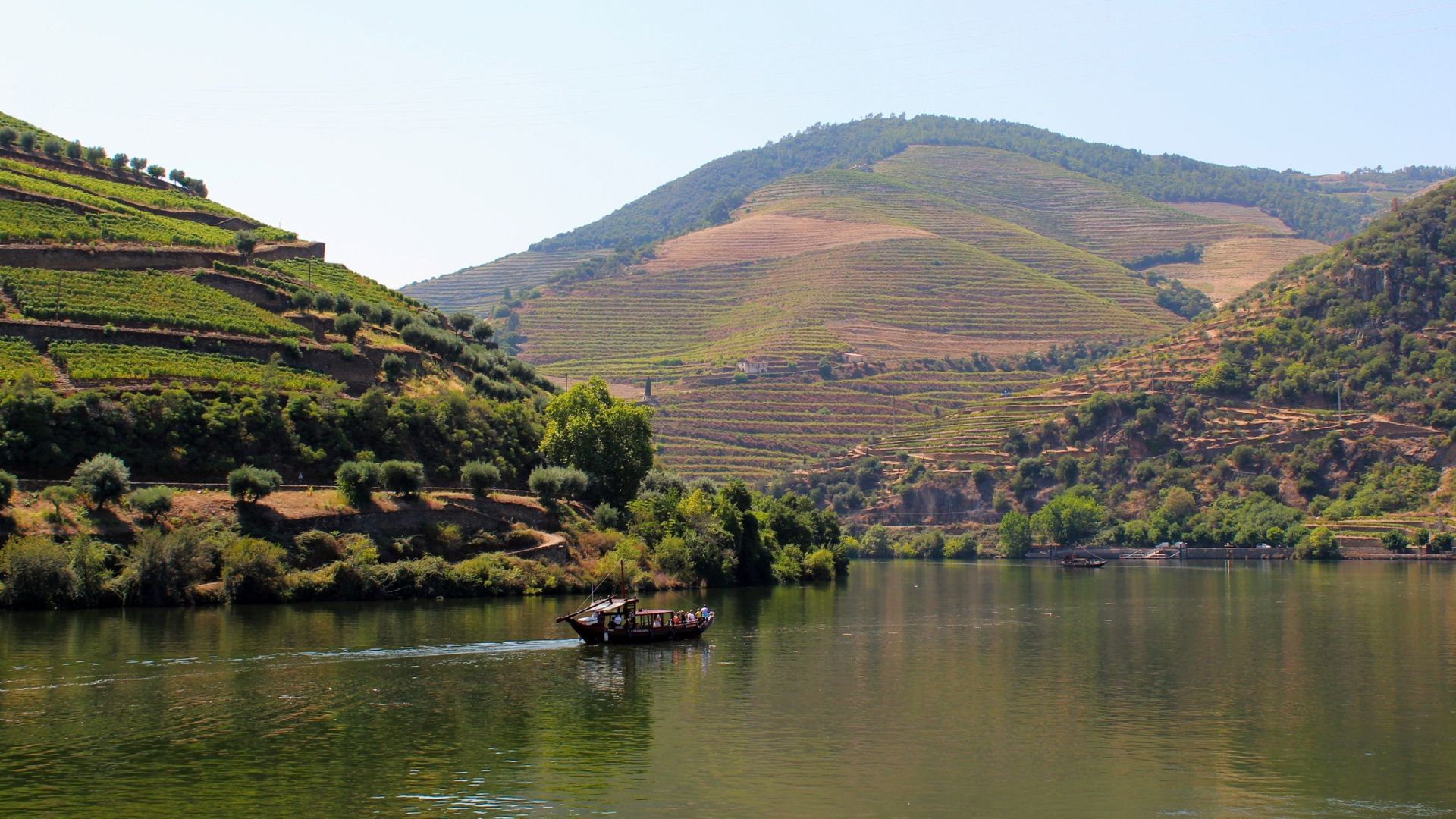 Image in the heart of the Douro Valley with the Douro River and a Boat Cruise on Cooltour Oporto's Douro Valley Wine Tour from Porto