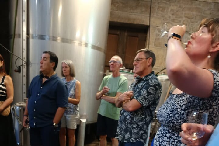 DOURO VALLEY: Premium Wine Tour, Lunch at Winery & Private Cruise