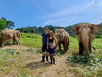 Phuket City and Elephant Sanctuary Cultural Tour