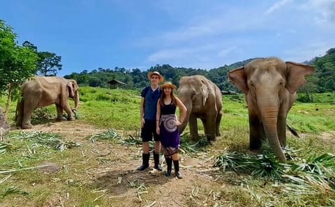 Phuket City and Elephant Sanctuary Cultural Tour