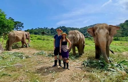 Phuket City and Elephant Sanctuary Cultural Tour