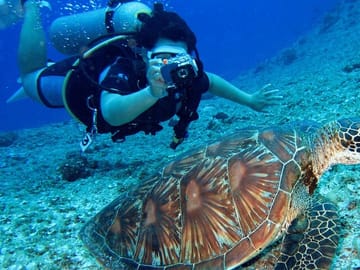 Scuba Diving Adventure in Bodrum with Lunch and Transfers