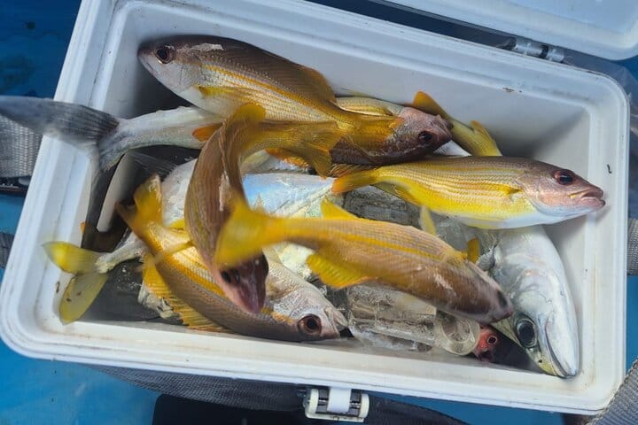 Private Tour :  3 Days Tour Package with snorkeling