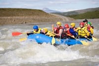 Whales & White Water Rafting 2