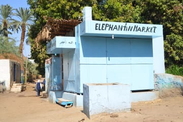 Explore Elephantine Island on a Guided Tour from Aswan