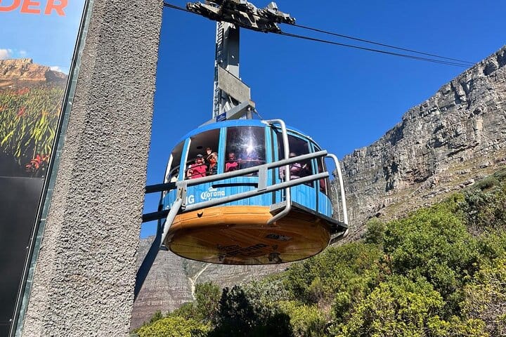 Full-Day Cape of Good Hope and Table Mountain with Penguins Tour