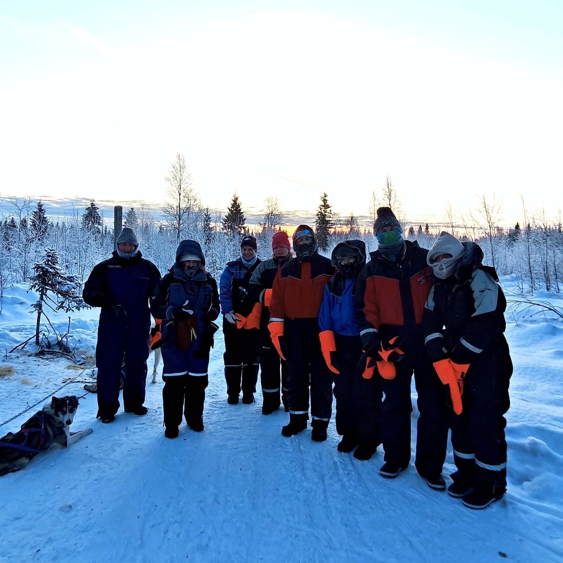 Husky Team after the ride in Rovaniemi winter.