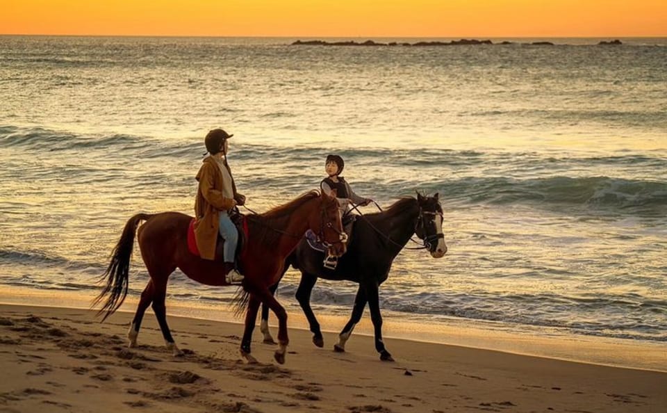 Tangier Mountain and Sea Horseback Riding Adventure