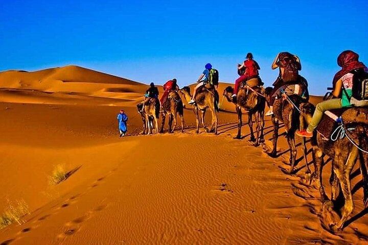 Merzouga Desert Adventure: Camel Rides, Dunes & Scenic Landscapes