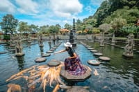 East of Bali Tour with Lempuyang Temple, Waterfall, Tirta gangga 8
