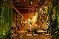 Tour Larco Museum with dinner 10