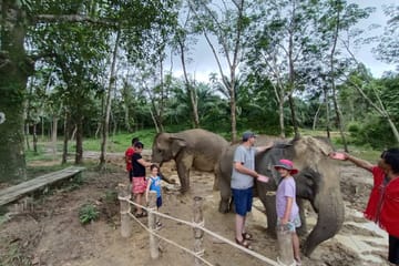 Khao Lak Elephant Sanctuary Small Group Tour with Lunch