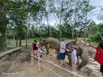 Khao Lak Elephant Sanctuary Small Group Tour with Lunch
